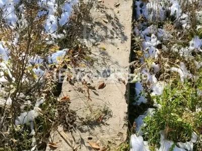 Участок · 10 соток, Акшатыр за 6.5 млн 〒 в 