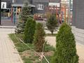 4-комнатная квартира · 121.3 м² · 5/5 этаж, мкр. Алтын орда 7 Н — Пересечение проспекта Тауелсиздик и ул.Халел Досмухамедулы за 41 млн ₸ в Актобе — фото 7