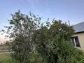 Отдельный дом · 5 комнат · 90 м² · 16 сот., Горная 71 — Телевышка за 17 млн ₸ в Акколе — фото 19