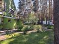 Отдельный дом · 8 комнат · 218 м² · 13 сот., Лол 8 за 79.5 млн ₸ в Бурабае — фото 5