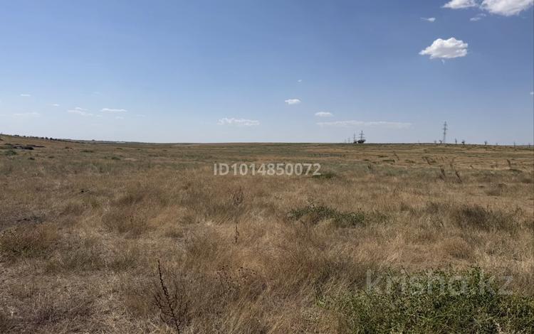 Участок · 8 соток, мкр Бозарык за 5 млн ₸ в Шымкенте, Абайский р-н — фото 2
