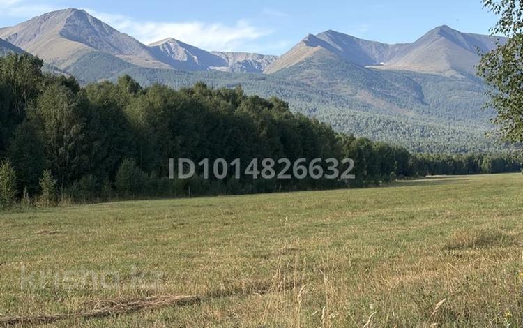 Жер телімі · 2 га, Катон-Қарагай, бағасы: 70 млн ₸ в  — фото 12