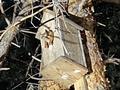 Жеке үй · 6 бөлме · 220 м², Наурыз 48 — Микрорайон Орман, бағасы: 150 000 ₸ в Петропавловске — фото 39