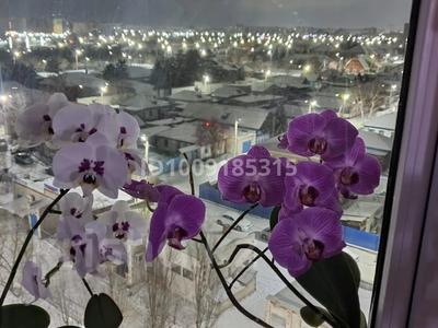 4-комнатная квартира · 83 м² · 8/10 этаж, Жумабаева 6 за 33 млн 〒 в Павлодаре