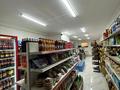 Магазины и бутики, общепит • 297 м² за 350 млн 〒 в Атырау, мкр Каспий — фото 10