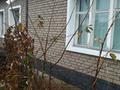 Жеке үй · 3 бөлме · 100 м², Казбека Нуралина 154а, бағасы: 2 500 ₸ в Экибастузе — фото 13