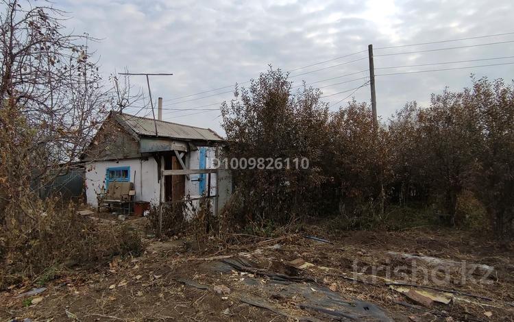 Дача · 1 комната · 50 м² · 12 сот., Остров Большой 66 за 2.1 млн ₸ в Семее — фото 2