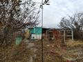 Дача · 1 комната · 50 м² · 12 сот., Остров Большой 66 за 2.1 млн ₸ в Семее — фото 3