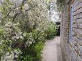 Жеке үй · 4 бөлме · 120 м² · 11 сот., Старый город, С/к Теплосеть 2 57 — улица Нокина, бағасы: 10.9 млн ₸ в Актобе — фото 19
