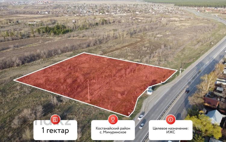 Участок · 100 соток, Озерная за 100 млн ₸ в Мичуринское — фото 2
