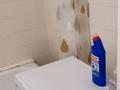 1-бөлмелі пәтер · 40 м² · 5/10 қабат, проспект Нурсултана Назарбаева 295 — Назарбаева - Ладожская, бағасы: 130 000 ₸ в Павлодаре — фото 8
