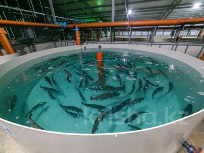 Продажа коммерческой недвижимости в Акмолинской обл.: Сельское хозяйство · 15000 м² за 550 млн 〒 Сельское хозяйство · 15000 м² за 550 млн 〒 в