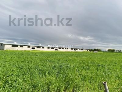 Участок · 11 га, мкр Тассай, ул. Омарташы 32 за 720 млн 〒 в Шымкенте, Каратауский р-н