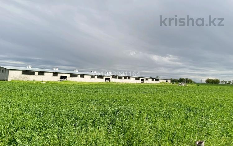 Участок · 11 га, мкр Тассай, ул. Омарташы 32 за 720 млн 〒 в Шымкенте, Каратауский р-н — фото 2