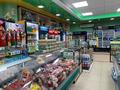 Магазины и бутики • 290 м² за 210 млн 〒 в Павлодаре — фото 5
