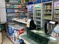 Магазины и бутики • 290 м² за 210 млн 〒 в Павлодаре — фото 8
