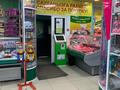 Магазины и бутики • 290 м² за 210 млн 〒 в Павлодаре — фото 9