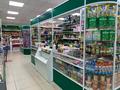 Магазины и бутики • 290 м² за 210 млн 〒 в Павлодаре — фото 10
