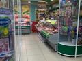 Магазины и бутики • 290 м² за 210 млн 〒 в Павлодаре — фото 11