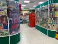 Магазины и бутики • 290 м² за 210 млн 〒 в Павлодаре — фото 14