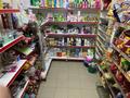 Магазины и бутики • 160 м² за 250 000 〒 в Астане, Алматы р-н — фото 2