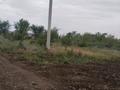 Жер телімі · 6 сотық, Кербұлақ 59 — Дарын мектеп, бағасы: 4.5 млн ₸ в Каргалы (п. Фабричный) — фото 8