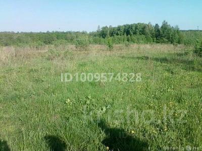 Участок · 5 га, Жибек жолы за 45 млн 〒