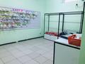 Магазины и бутики • 87 м² за 28.9 млн 〒 в Алматы, Ауэзовский р-н — фото 10