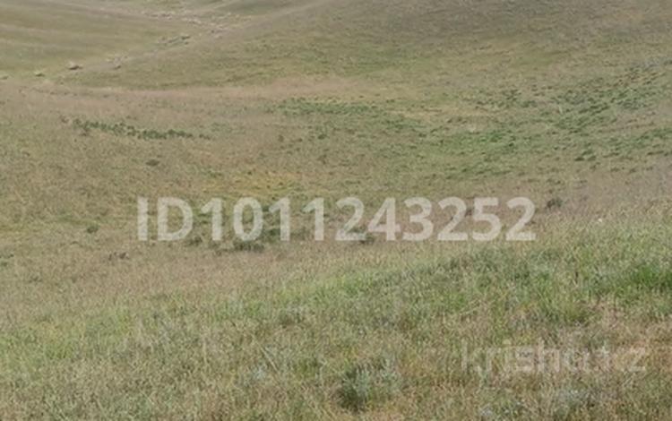 Участок · 5 га, Таргап — Кафе Авразия за 2 млн ₸ в Алматинской обл. — фото 2