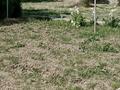 Отдельный дом · 5 комнат · 150 м² · 12 сот., Шыгыс 59 за 46 млн ₸ в Атакенте — фото 5