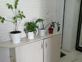 1-комнатная квартира · 33.7 м² · 5/6 этаж, 32В мкр 2 за 8.5 млн ₸ в Актау — фото 11