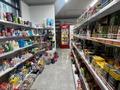 Магазин с оборот 1.1-1.3 млн в день · 119 м², бағасы: 60 млн ₸ в Астане, Нура р-н — фото 5