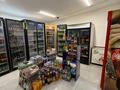 Дүкендер мен бутиктер · 120 м², бағасы: 350 000 ₸ в Караоткеле — фото 7