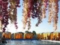 Ойын-сауық · 1000 м², бағасы: 70 млн ₸ в  — фото 12