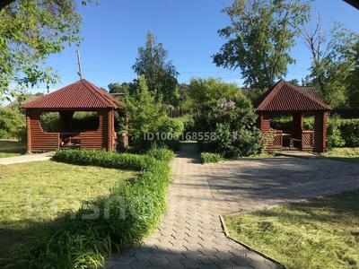 Действующее кафе · 600 м², бағасы: 85 млн 〒 в Боровском