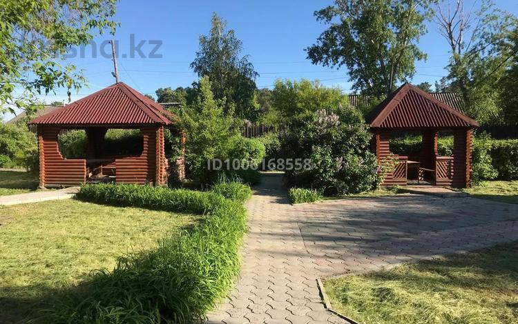 Действующее кафе · 600 м², бағасы: 79 млн ₸ в Боровском — фото 2