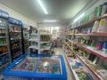Магазины и бутики • 55 м² за 35 млн 〒 в Алматы, Алатауский р-н — фото 3