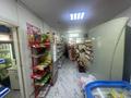 Магазины и бутики • 55 м² за 35 млн 〒 в Алматы, Алатауский р-н — фото 6
