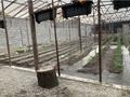 Жеке үй · 3 бөлме · 64 м² · 15 сот., Тілеміс акын 5 — Казпоселок- Сахзавод светофоры, бағасы: 20 млн ₸ в Таразе — фото 2