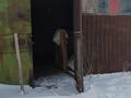 Жер телімі · 0.5 га, Старый лесхоз , бағасы: 12 млн ₸ в Октябрьский — фото 21