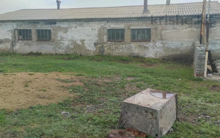 Жер телімі · 0.5 га, Старый лесхоз , бағасы: 12 млн ₸ в Октябрьский — фото 5
