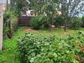 Отдельный дом · 4 комнаты · 54.4 м² · 10 сот., Абая 233 — Угол школы Токатаева за 30 млн ₸ в Есик — фото 7
