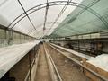 Участок · 50 соток, Жилой массив Балауса 3д за 150 млн ₸ в Актобе