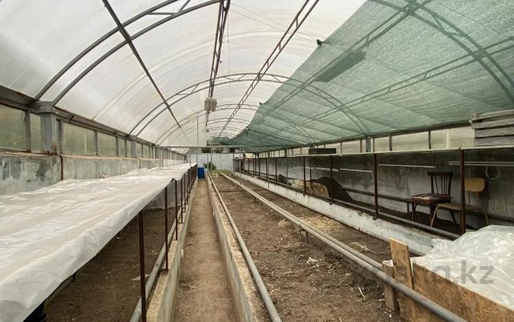 Участок · 50 соток, Жилой массив Балауса 3д за 150 млн ₸ в Актобе — фото 27