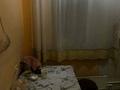 1-комнатная квартира · 36.6 м² · 5/5 этаж, мкр Жулдыз-2 за 18 млн ₸ в Алматы, Турксибский р-н — фото 6