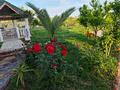 Отдельный дом · 6 комнат · 450 м² · 1100 сот., İncekum Mahallesi Habibler Sokak 126 за 251 млн ₸ в Аланье — фото 12