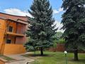 Жеке үй · 10 бөлме · 550 м² · 12 жүзд., Оспанова 78, бағасы: 665 млн ₸ в Алматы, Медеуский р-н — фото 3
