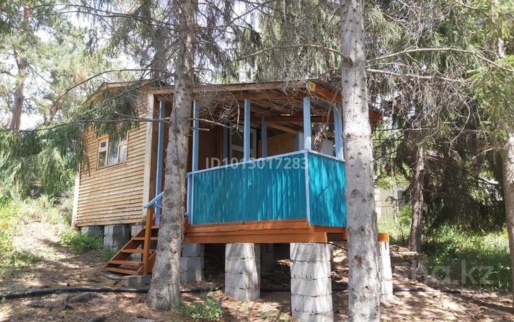Отдельный дом · 3 комнаты · 24 м² · 3.68 сот., База отдыха Орион за 12.5 млн ₸ в Новой бухтарме — фото 10