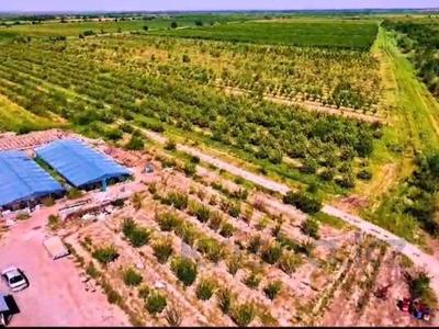 Продажа участков в Алматинской обл.: Участок · 35 га, Чунджа за 190 млн 〒 Участок · 35 га, Чунджа за 190 млн 〒