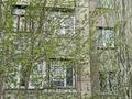 1-комнатная квартира · 29 м² · 4/9 этаж, мкр Михайловка , Ермекова 114/1 за 150 000 ₸ в Караганде, Казыбек би р-н — фото 3